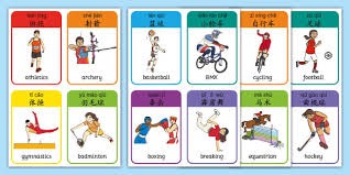 一日四赛全胜 樊振东斩获“留洋”首冠