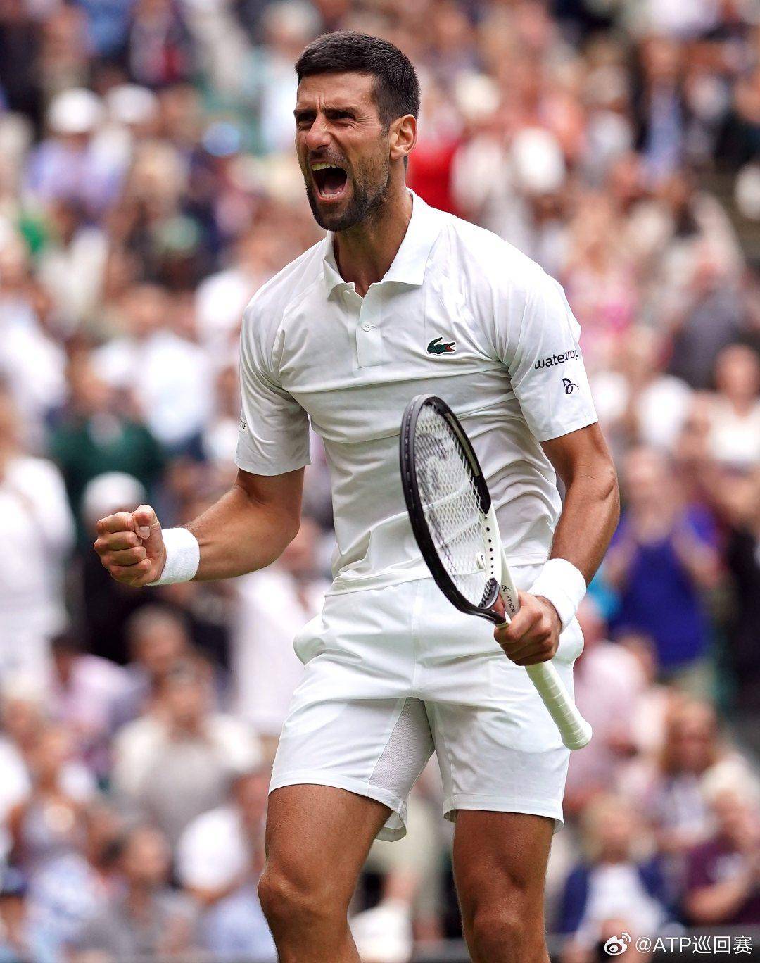 高效默契的 高效默契的