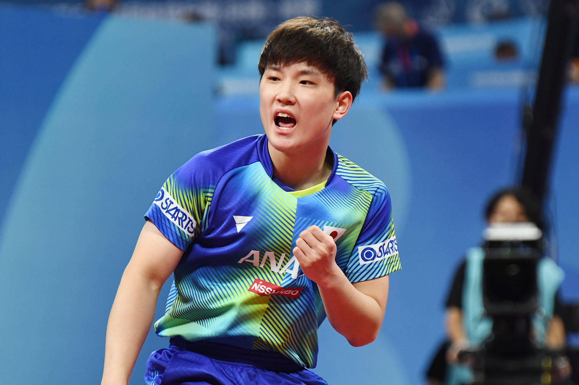 也需要理性 也需要理性