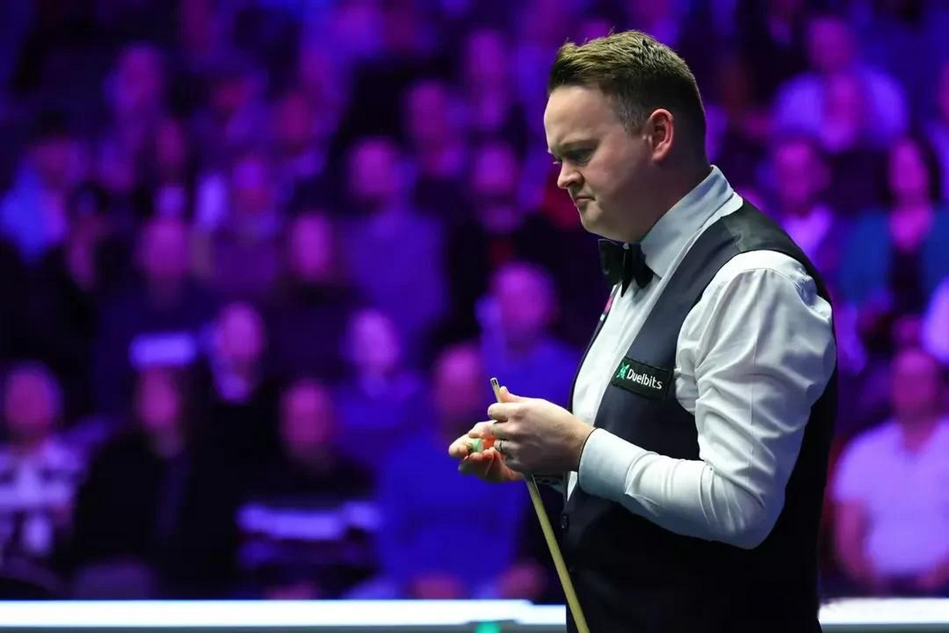 他们不仅为 他们不仅为